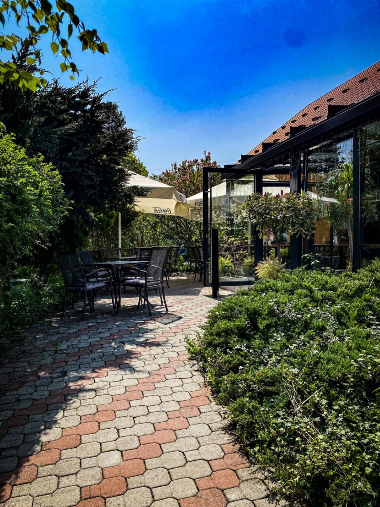Ogród restauracji z parasolami